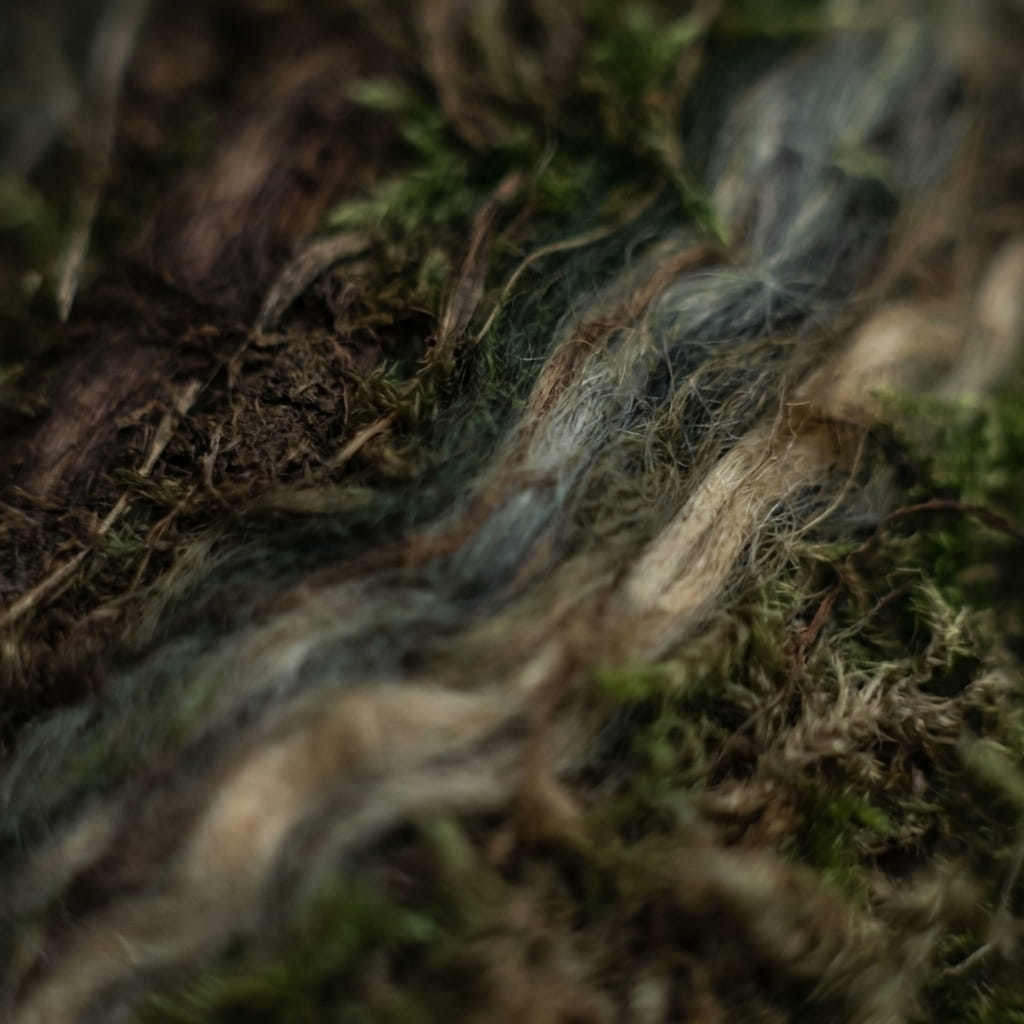 Abstract landscape texture